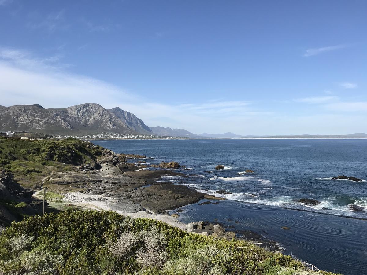 Bed and Breakfast Francolin Manor à Hermanus Extérieur photo